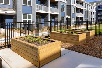 Green plants in planters 